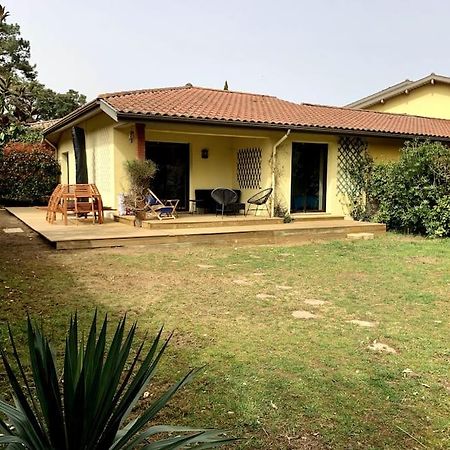 Villa Patio A 800 M De La Plage Seignosse Εξωτερικό φωτογραφία