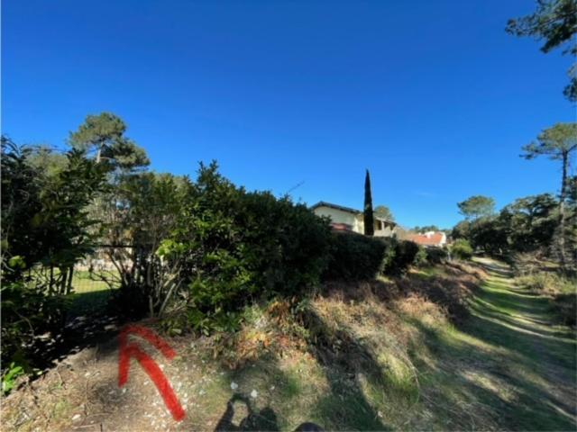 Villa Patio A 800 M De La Plage Seignosse Εξωτερικό φωτογραφία